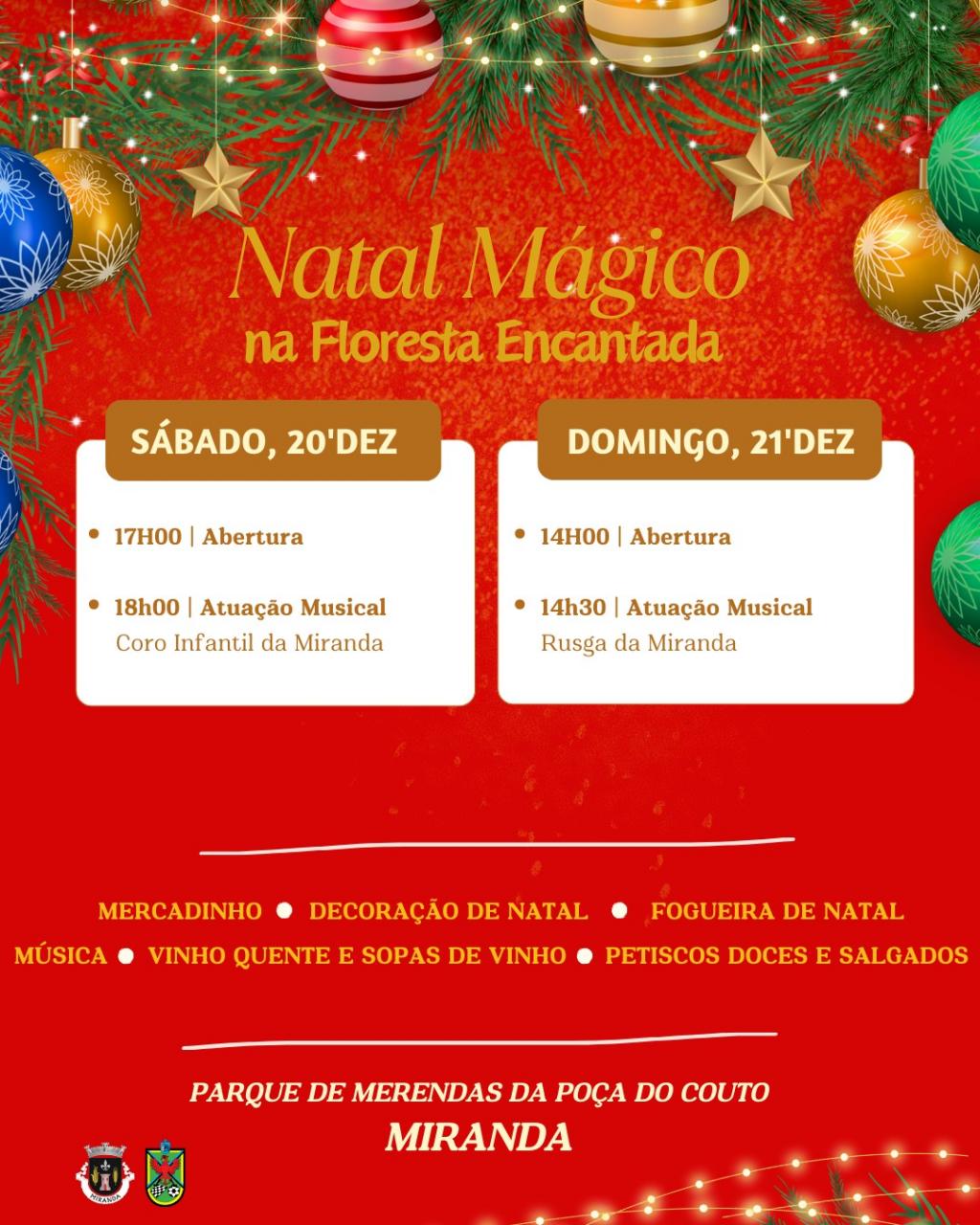 Natal M&aacute;gico na Floresta Encantada